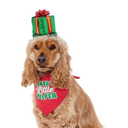 14 idées de cadeaux de Noël pour les amoureux des chiens