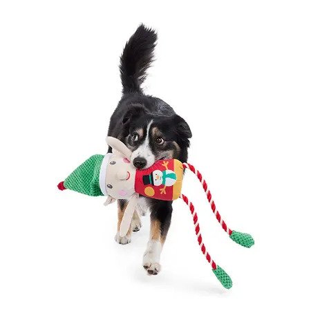 Jouet pour chien Elfe de Noël à longues pattes