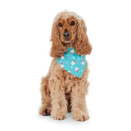 Bandana de Noël pour chien avec sucre d'orge et Père Noël