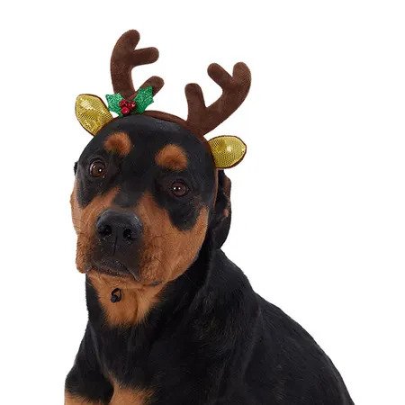 Tête de chien en forme de renne pour Noël