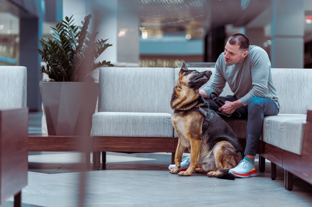 Un homme en tenue décontractée est assis avec son chien d'assistance berger allemand obéissant dans le hall d'entrée d'un hôpital ou d'un bâtiment d'entreprise.