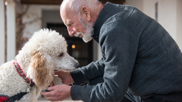 Qu’est-ce qu’un chien d’assistance psychiatrique ?