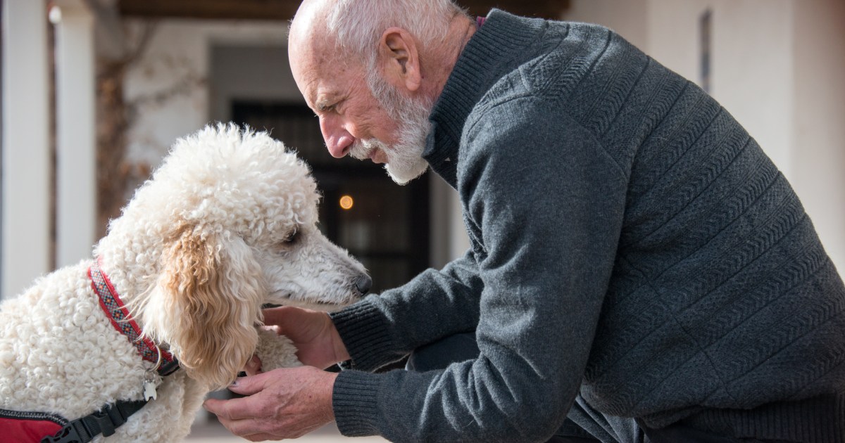 Qu’est-ce qu’un chien d’assistance psychiatrique ?