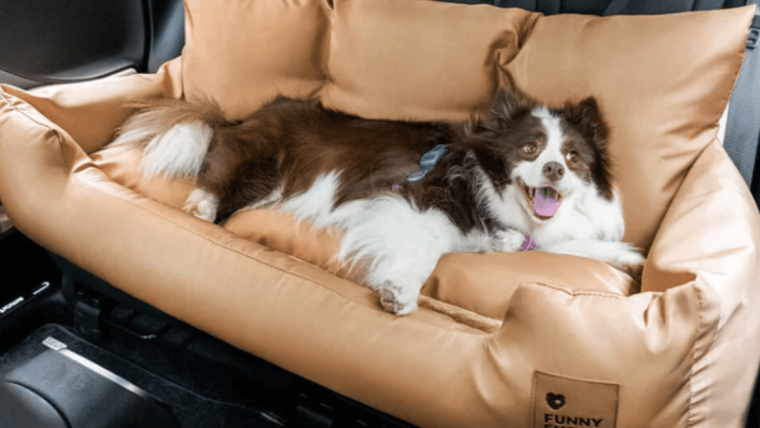 Le siège auto pour chien de FunnyFuzzy change la donne en matière de sécurité des déplacements des animaux de compagnie – Revue de presse