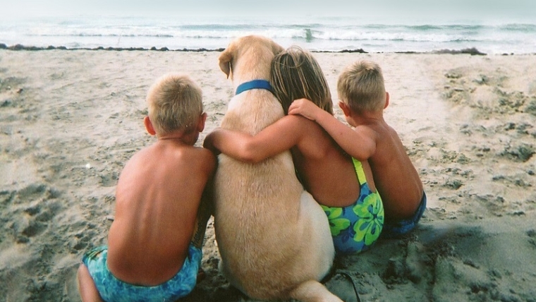 Top 5 des meilleures races de chiens adaptées à la famille et aux enfants
