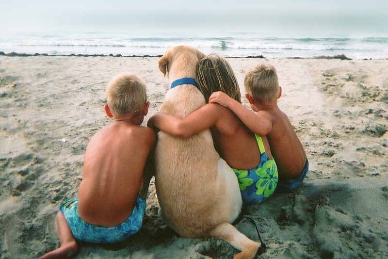 Top 5 des meilleures races de chiens adaptées à la famille et aux enfants