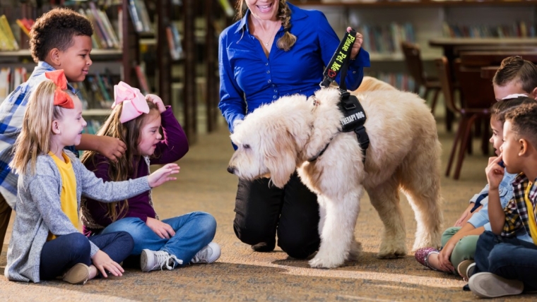 L’initiative relative aux chiens d’assistance est approuvée dans le cadre d’un programme de sécurité scolaire dans le Michigan