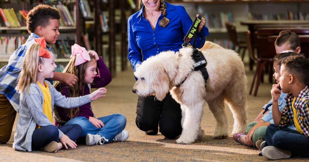 L’initiative relative aux chiens d’assistance est approuvée dans le cadre d’un programme de sécurité scolaire dans le Michigan