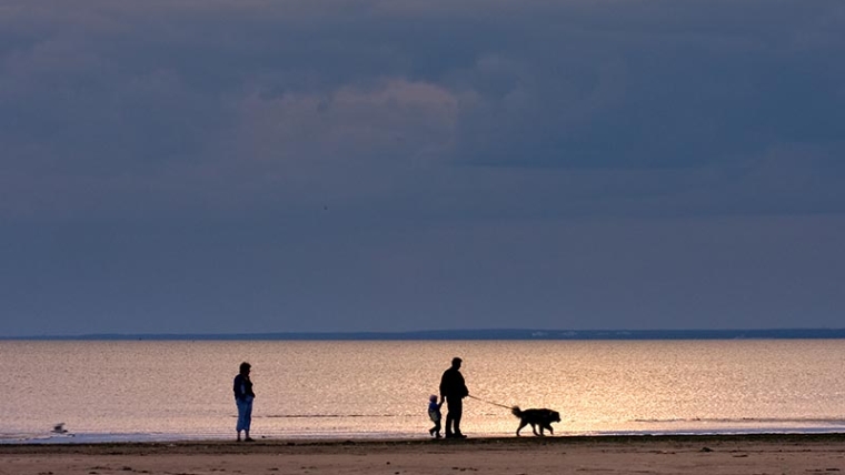 Comment faire de l’exercice avec votre animal de compagnie dans l’obscurité