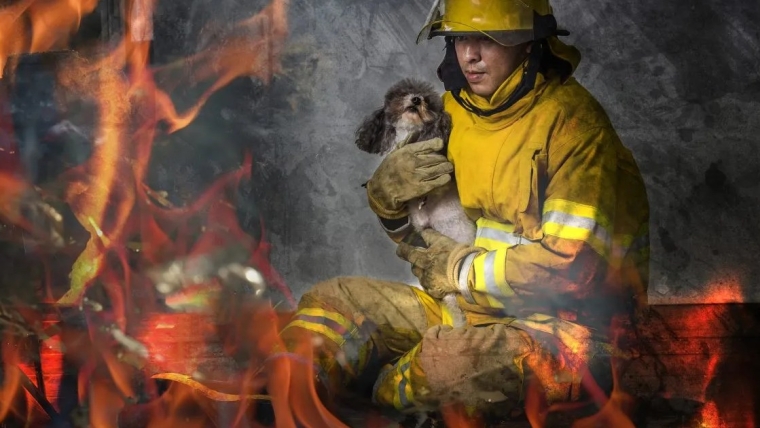 Le chiot sauvé « Smoky » adopté par un pompier dans l&rsquo;Oregon