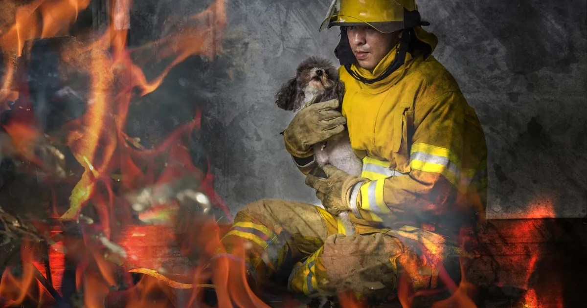 Le chiot sauvé « Smoky » adopté par un pompier dans l’Oregon