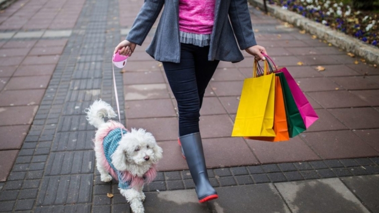 Quels sont les États les plus chers pour l’achat d’un chien ?