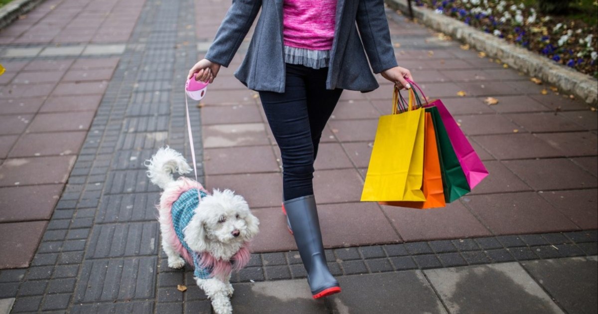 Quels sont les États les plus chers pour l’achat d’un chien ?