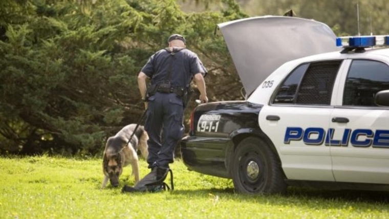 Un chien policier aide à retrouver un enfant disparu en Floride