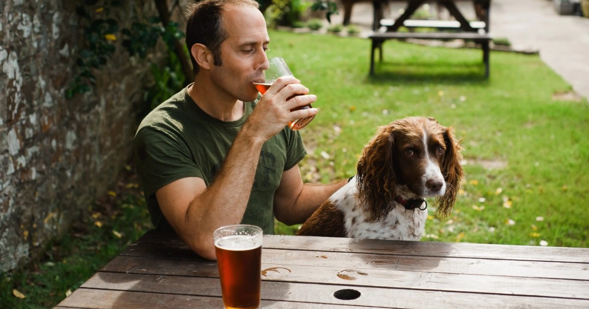 Un bar à chiens unique, « Barks & Brews », s’apprête à ouvrir au Kansas