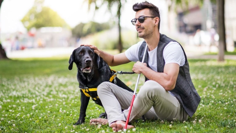 L’école canine californienne s’apprête à organiser une cérémonie publique de remise des diplômes