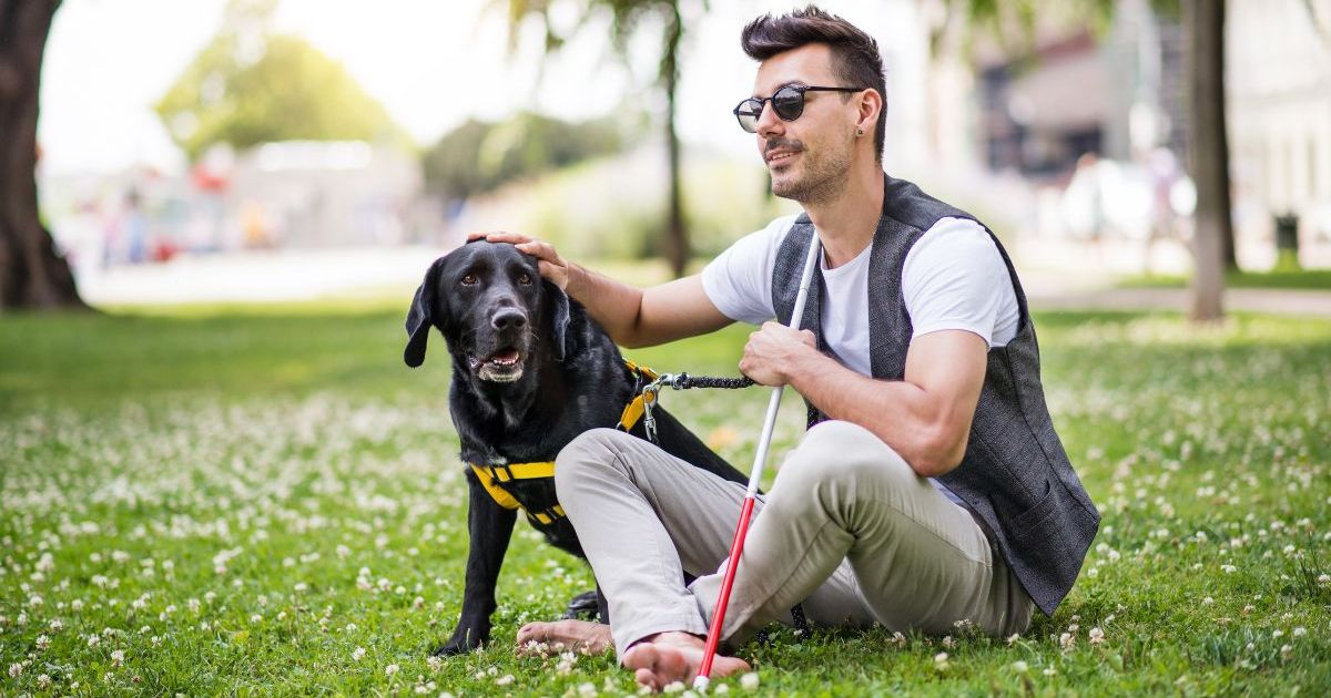 L’école canine californienne s’apprête à organiser une cérémonie publique de remise des diplômes