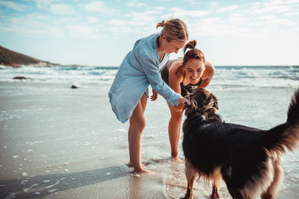 Deux jeunes femmes jouant avec le chien sur la plage