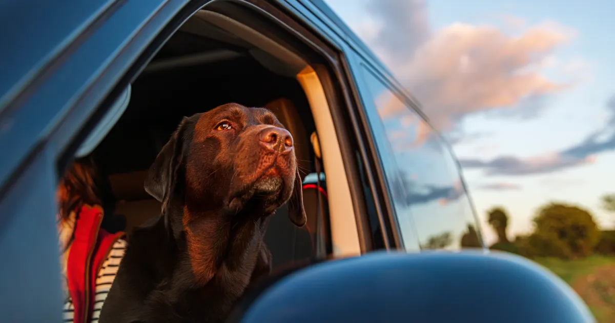 L’explosion d’un mobile home tue 2 personnes et un chien dans le Minnesota