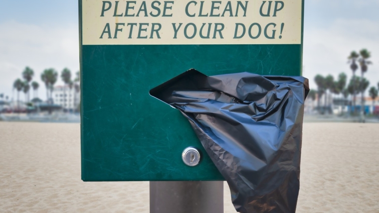 Un nouveau projet de loi prévoit l’installation de distributeurs de sacs à crottes dans les rues de New York