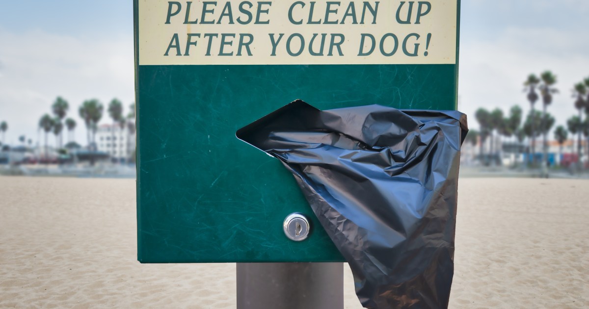 Un nouveau projet de loi prévoit l’installation de distributeurs de sacs à crottes dans les rues de New York