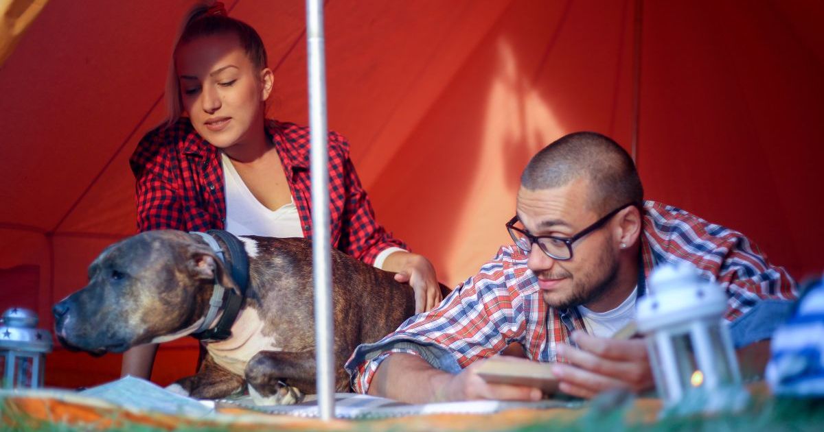 Le chien d’un couple de sans-abri abattu par un policier au Texas