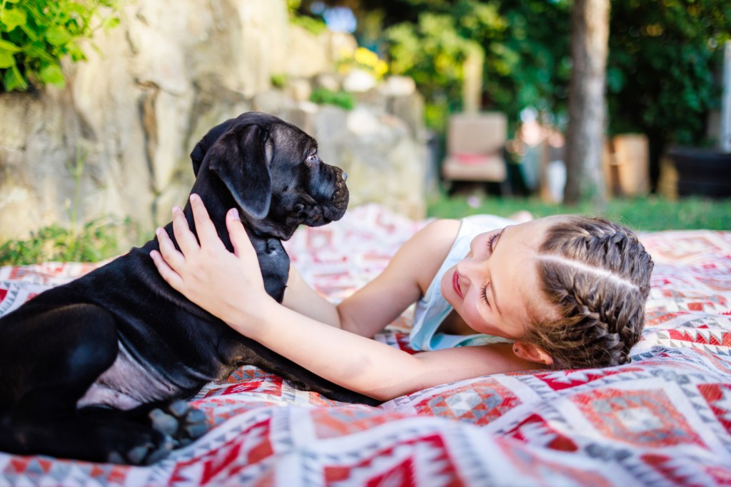 Petite fille câlinant un chiot Cane Corso en se couchant dans la cour arrière.