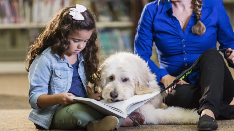 Les écoles prévoient d’étendre le programme de chiens de thérapie dans le New Jersey