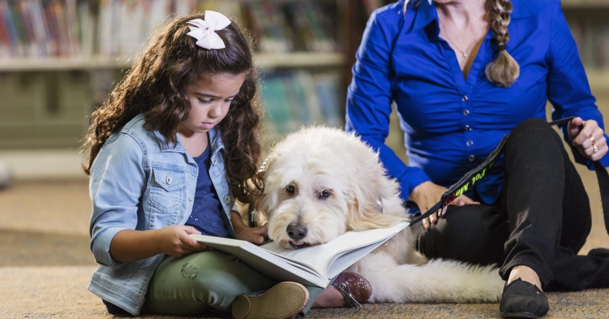 Les écoles prévoient d’étendre le programme de chiens de thérapie dans le New Jersey