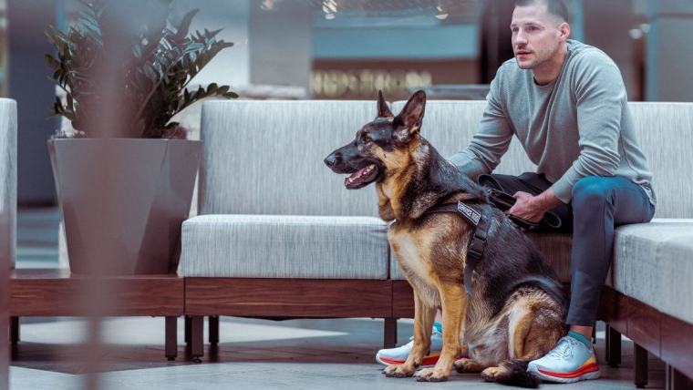 Les chiens d’assistance sont bénéfiques pour les vétérans souffrant du syndrome de stress post-traumatique, selon une étude des NIH