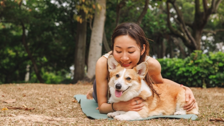 Les meilleures races de chiens pour les amateurs de cancer