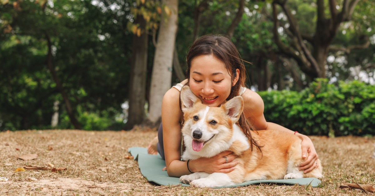 Les meilleures races de chiens pour les amateurs de cancer
