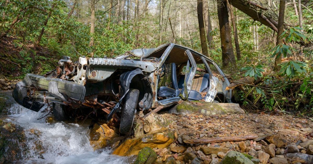 Un chien de l’Oregon parcourt des kilomètres pour alerter la famille de son maître après un accident de voiture