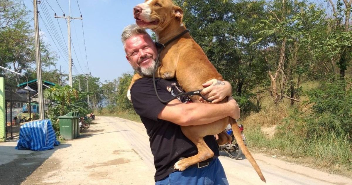 L’homme qui sauve les chiens s’apprête à lancer un livre pour collecter des fonds