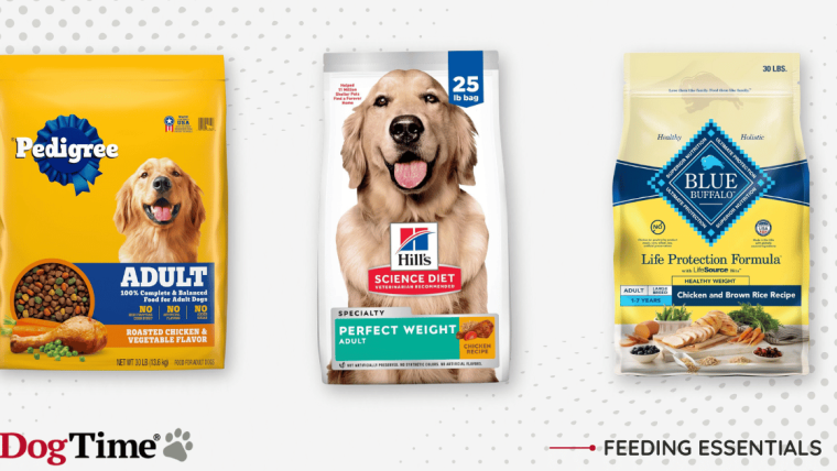 25 meilleures nourritures sèches pour chiens en 2024