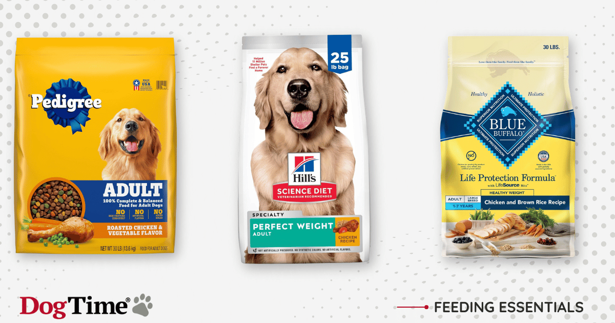 25 meilleures nourritures sèches pour chiens en 2024