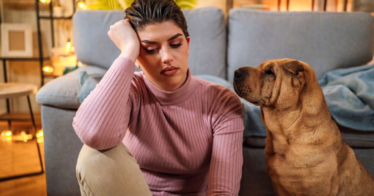 Le stress chez l’homme affecte les décisions et l’humeur des chiens, selon une étude