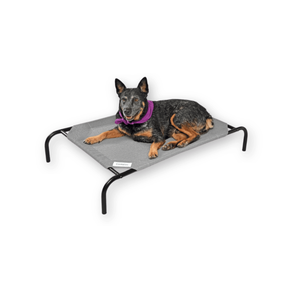 lit pour chien coolaroo Le meilleur lit pour chien de Coolaroo