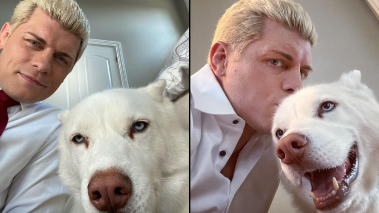 Cody Rhodes révèle pourquoi son chien Pharaoh ne l’accompagnera plus dans ses tournées.