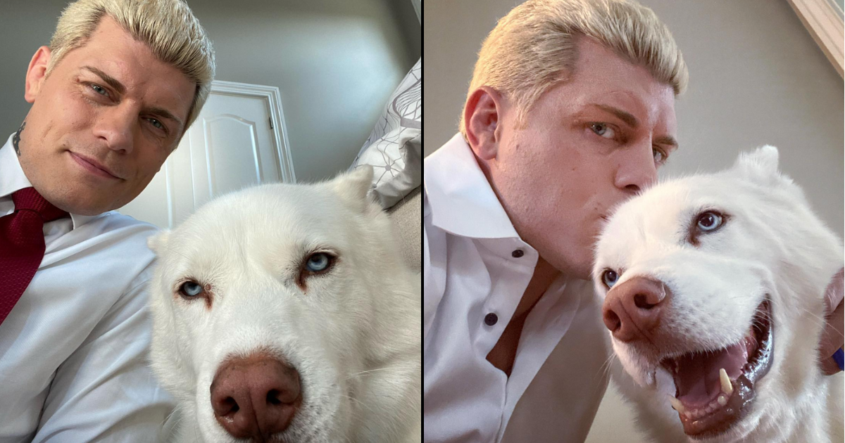 Cody Rhodes révèle pourquoi son chien Pharaoh ne l’accompagnera plus dans ses tournées.