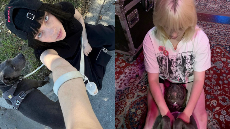 Comment le chien de Billie Eilish s’est retrouvé au Billboard Hot 100