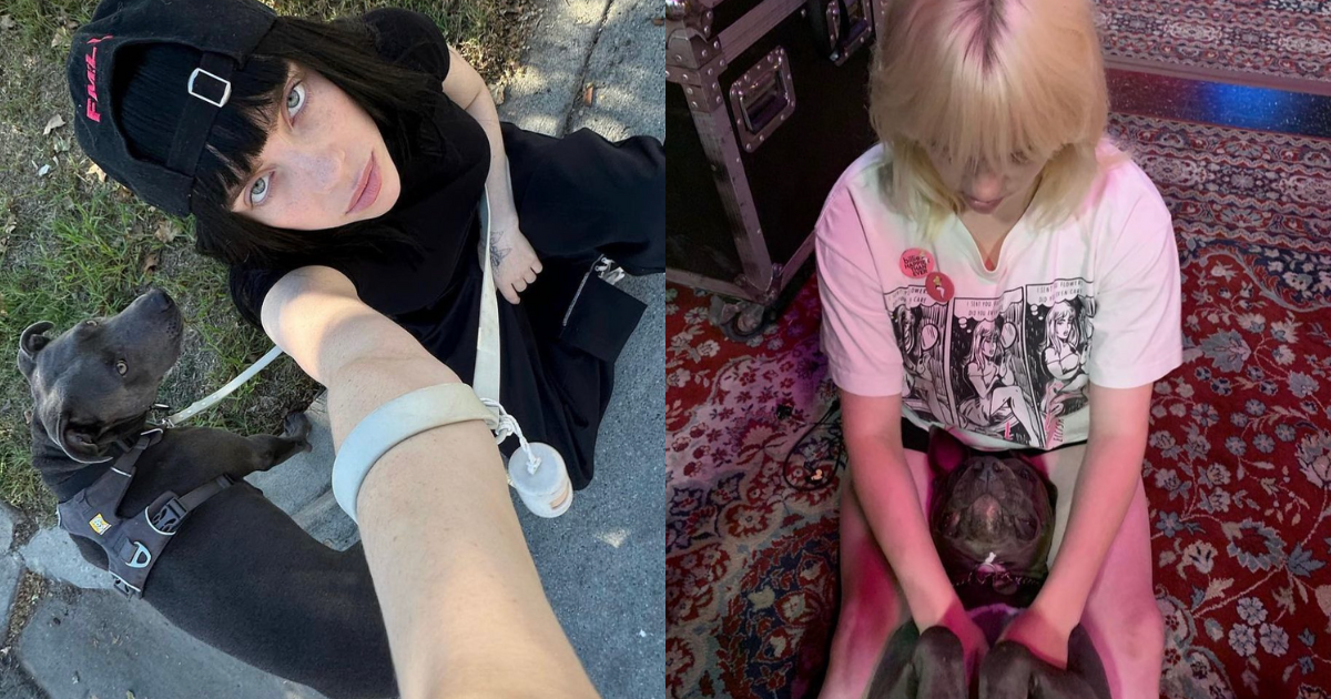 Comment le chien de Billie Eilish s’est retrouvé au Billboard Hot 100