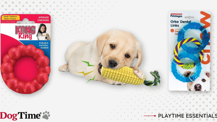 7 meilleurs jouets à mâcher pour chien que votre toutou adorera en 2024