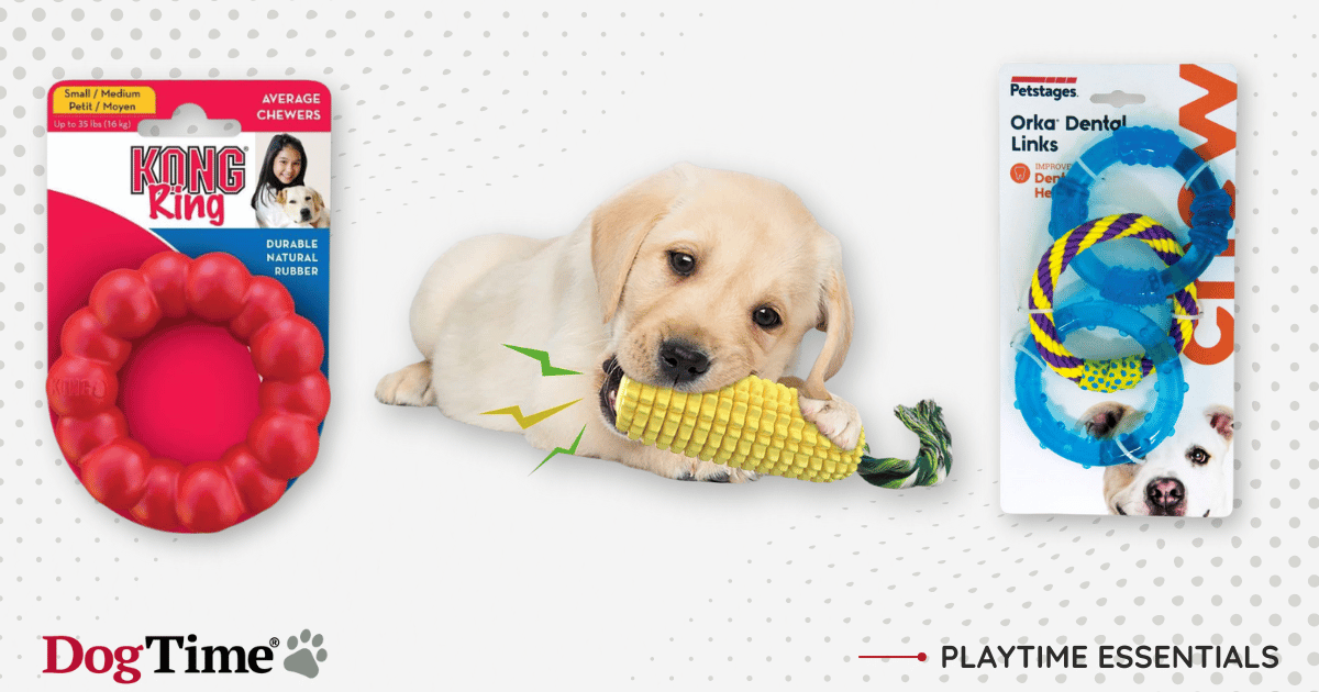 7 meilleurs jouets à mâcher pour chien que votre toutou adorera en 2024
