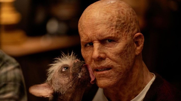 Ryan Reynolds dit que le Dogpool de Deadpool et Wolverine était le « coordinateur de l’intimité » du film