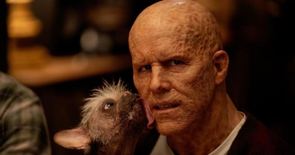 Ryan Reynolds dit que le Dogpool de Deadpool et Wolverine était le « coordinateur de l’intimité » du film