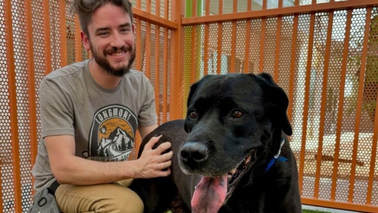 Un chien retourné au refuge parce qu’il était « trop ennuyeux » trouve un foyer d’accueil aimant