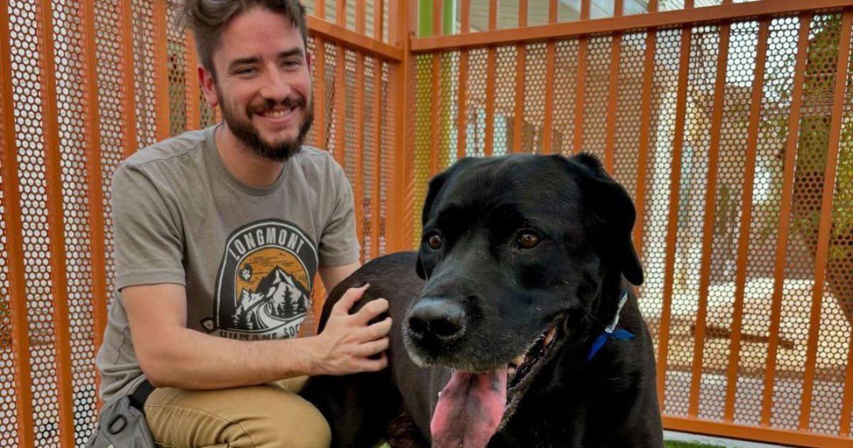 Un chien retourné au refuge parce qu’il était « trop ennuyeux » trouve un foyer d’accueil aimant