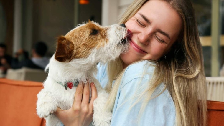 Désodorisants pour chiens : Ce qu’il faut savoir