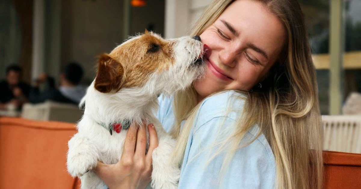 Désodorisants pour chiens : Ce qu’il faut savoir